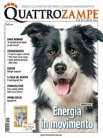 Quattrozampe
